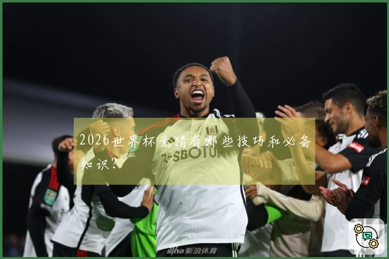 2026世界杯竞猜有哪些技巧和必备知识？