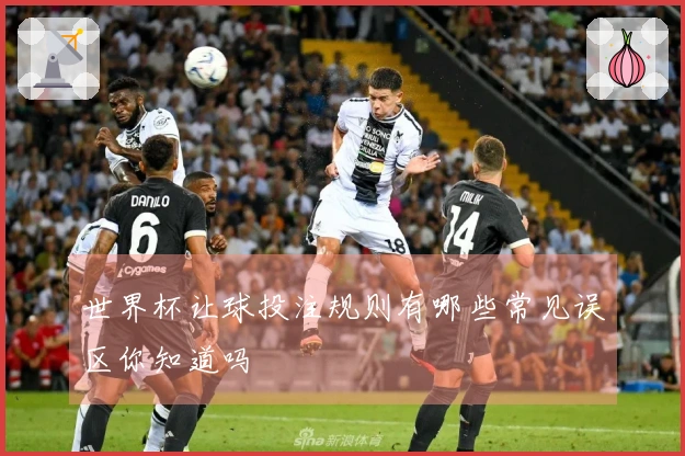 世界杯让球投注规则有哪些常见误区你知道吗