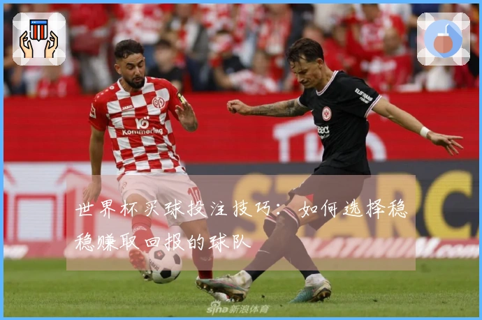 世界杯买球投注技巧：如何选择稳稳赚取回报的球队