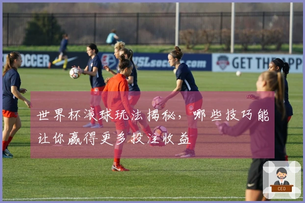 世界杯滚球玩法揭秘，哪些技巧能让你赢得更多投注收益