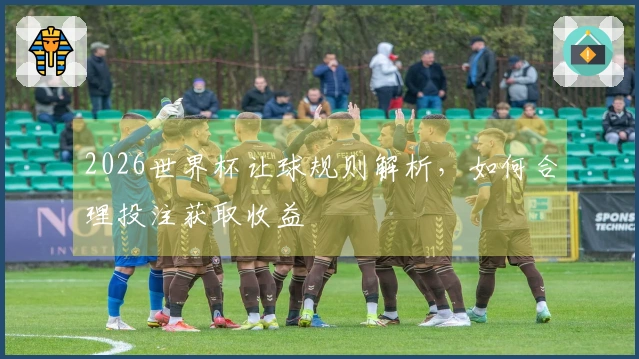 2026世界杯让球规则解析，如何合理投注获取收益
