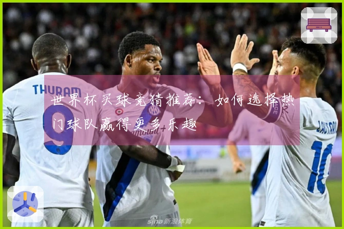 世界杯买球竞猜推荐：如何选择热门球队赢得更多乐趣