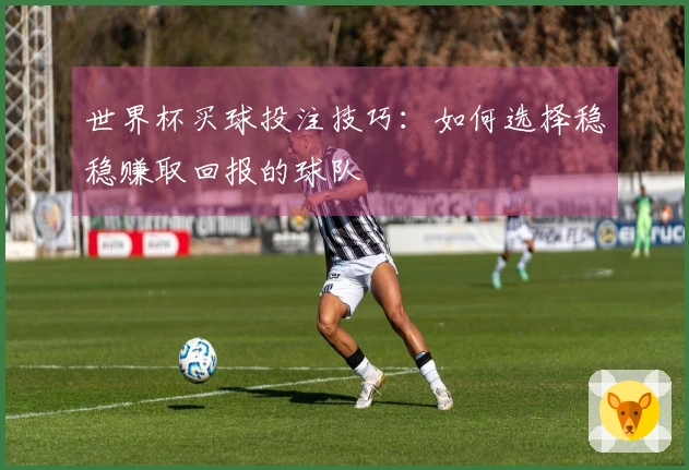 世界杯买球投注技巧：如何选择稳稳赚取回报的球队