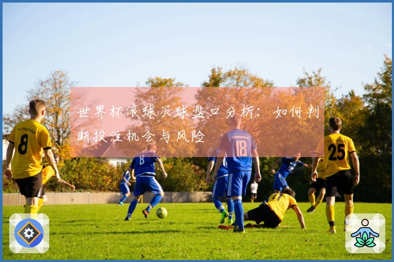 世界杯滚球买球盘口分析：如何判断投注机会与风险